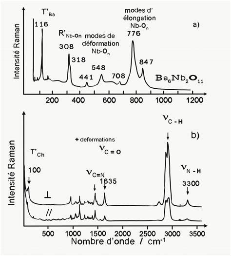 Exemples De Spectre Raman Avec Les Différents Modes De Vibration Selon