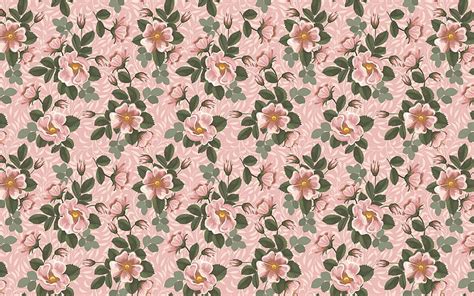 Wild Rose Pattern Pattern Pink Wild Rose Vector Hd Wallpaper Peakpx