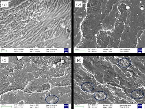 Sem Micrographs Of Fractured Surfaces Of Silicone Elastomer Barium