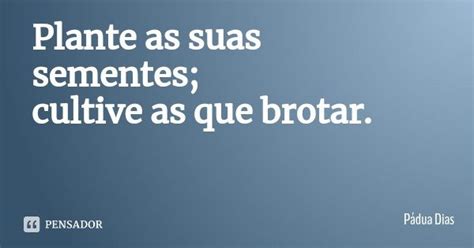 Plante As Suas Sementes Cultive As Que Pádua Dias Pensador