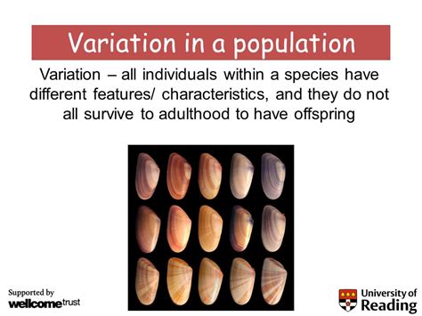 Variation In Population Morphological Physiological Application