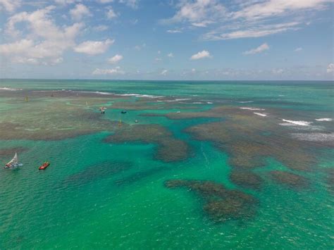 Premium Photo Aerial View Of Porto De Galinhas Beach In The City Of