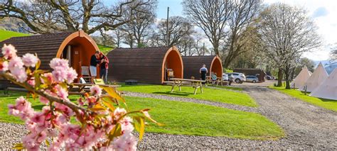 Camping Pods at Waterside - Waterside Farm Campsite