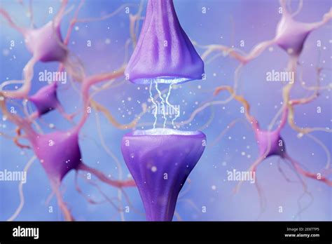 La transmisión química de un impulso nervioso en la sinapsis