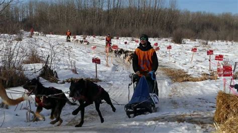 Manitoba Trappers Festival 2017 World Championship Dog Race Youtube