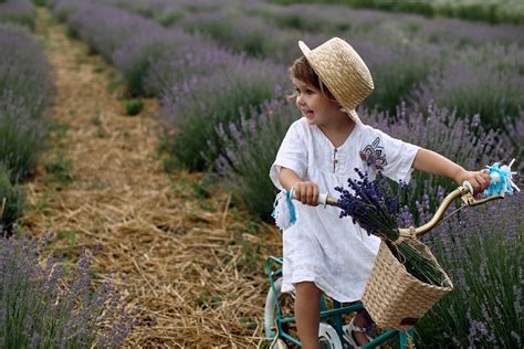 A Guide to Visiting the Best Lavender Farm in the USA