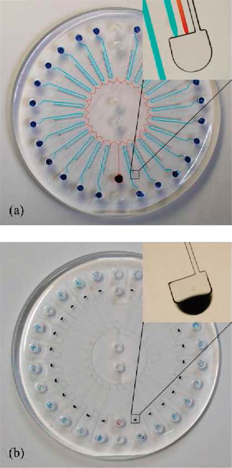 Figure From A Compact Disk Like Centrifugal Microfluidic System For