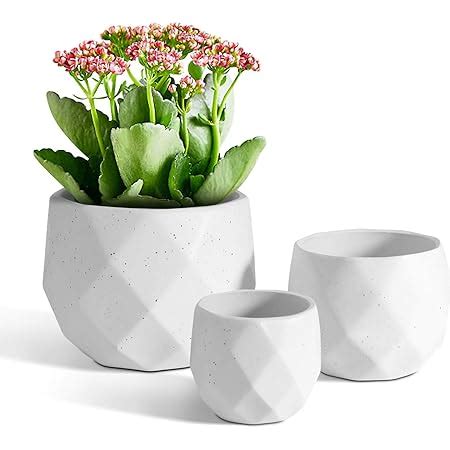 T U Pot De Fleur Blanc Lot De C Ramique Succulent Pots De Plantes