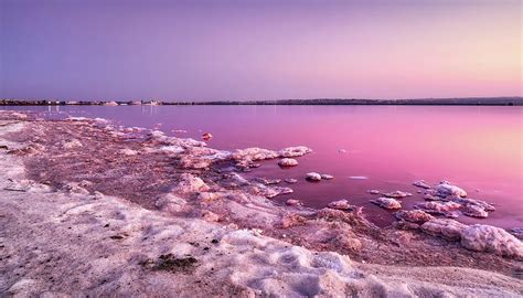 Pink Salt Lake In Torrevieja Spain Photograph By Maria Elena Garcia