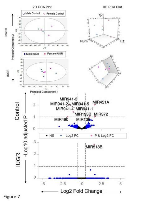 Sex Specic Mirna Sample Clustering And Differential Expression In