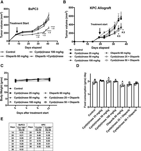 Combinatorial Approaches To Enhance DNA Damage Following Enzyme