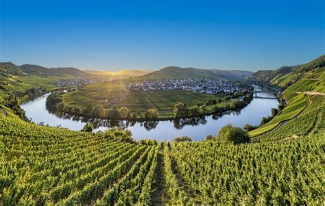 Your 2025 Guide To Mosel Wine Region