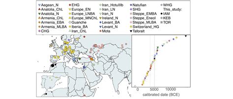 Ancient Genomes From North Africa Evidence Neolithic Migrations To The