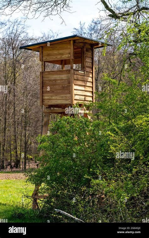 Hunter House In Forest Wooden Hunting Lodge Stock Photo Alamy
