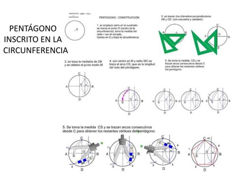 Polígonos regulares inscritos en la circunferencia lámina 5 6 7 8 PPT