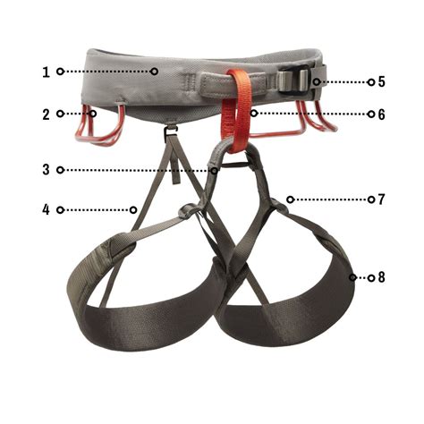 How To Choose The Right Climbing Harness