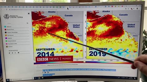 Marine Heat Waves Resulting In Severe Consequences Blob 20 Youtube