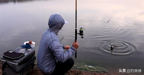 秋冬初冬：釣鯽魚掌握這5個小秘訣，冬季釣魚不空軍 每日頭條