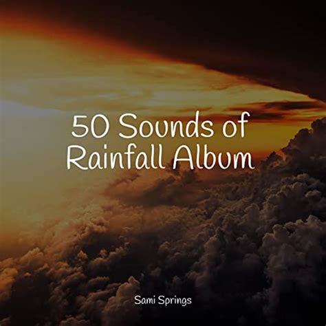 50 Loopable Rain Sounds For Deep Sleep By Thunder Storm Sounds Of