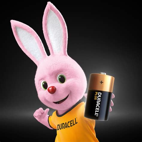 Pilas Duracell Lr C Ml Plus Duracell El Corte Ingl S