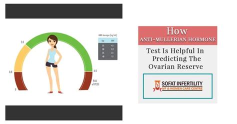 What Is Anti Mullerian Hormone And Explain The Good Amh Level For In