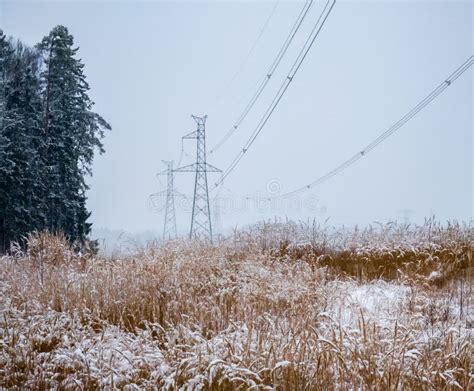 High Voltage Electricity Power Line Towers Near Forest At Winter Snow