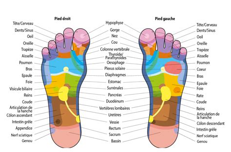 Infos Déroulement Dune Séance De Réflexologie Plantaire