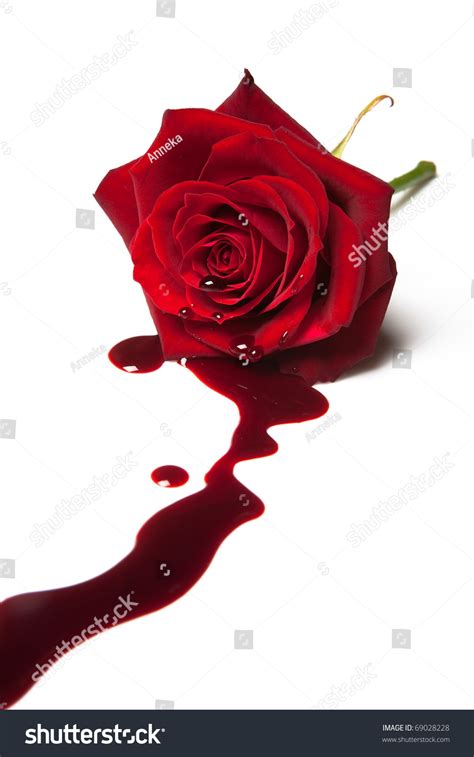 Red Rose Blood Flowing Out Heart Stock Photo 69028228 - Shutterstock