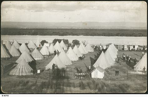 Internment camp • Photograph • State Library of South Australia