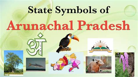 General Knowledge India State Symbols Of Arunachal Pradesh 59 Off