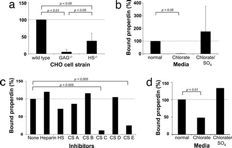 The Complement Protein Properdin Binds Apoptotic T Cells And Promotes