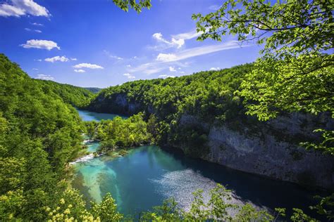 P Plitvice Lake Green Plitvice Lake National Park Tree Earth