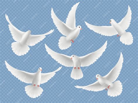 Premium Vector | Realistic doves. White freedom flying birds pigeons ...