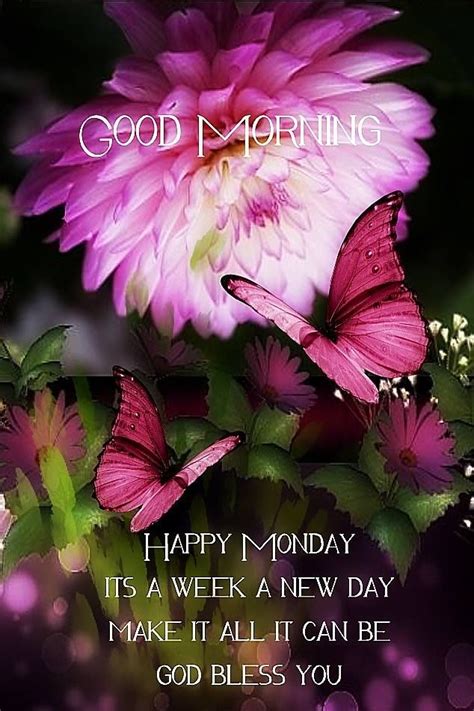 Good Morning New Week And New Day Pictures Photos And Images For