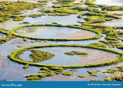 Loktak Lake, Manipur, Asia`s Largest Freshwater Lake, India Stock ...