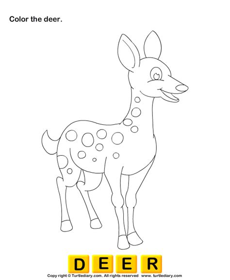 Deer Pictures for Kids Worksheet - Turtle Diary