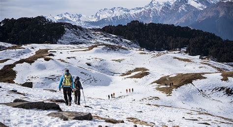 Kuari Pass Trek Winter Trek In Uttarakhand Bikat Adventures