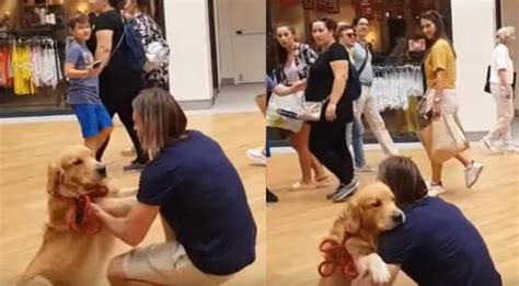 Un Hombre Y Su Perro Protagonizan Tierna Escena VIDEO