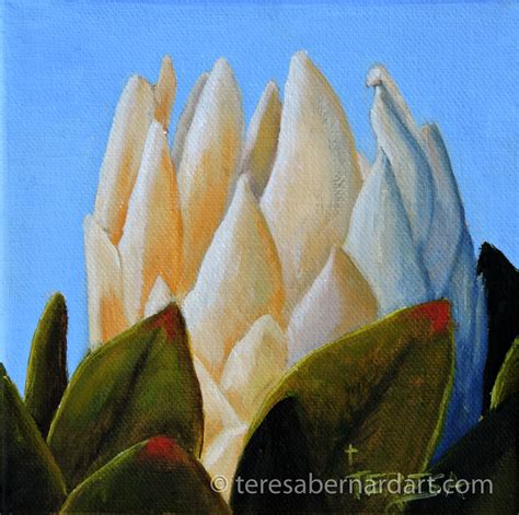 King Protea Flower - Teresa Bernard Oil Paintings