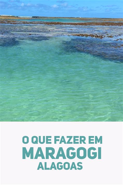 Maragogi O Que Fazer E Muitas Dicas De Viagem Artofit