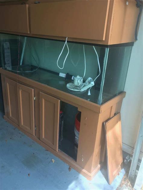 Gallon Aquarium Fish Tank For Sale In Tampa Fl Offerup