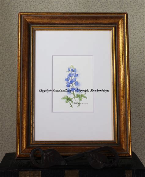 Bluebonnet Watercolor Painting By Roseann Hayes Watercolor Paintings