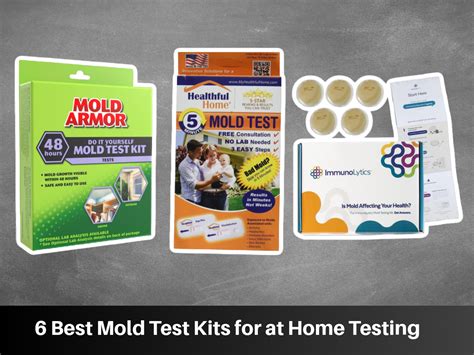 Best Mold Test Kits For At Home Testing