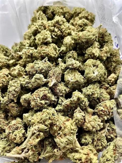 Thca Flower Order Online Larimer Center