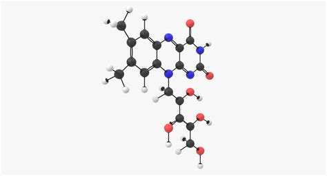 Vitamin B Riboflavin Molecule D Model Fbx Max Obj Free D