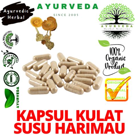 Ayurveda Kapsul 100 Kulat Susu Harimau 1biji Lazada