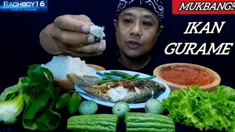 Mukbang Ikan Gurame Bakar Lalapan Mentah Sambal Terasi Super