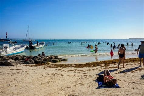 Akumal Beach- How to Snorkel with Endangered Sea Turtles Ethically And ...