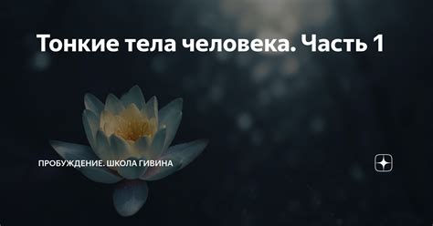 Тонкие тела человека. Часть 1 | Giving School | Медитация | Ретриты ...