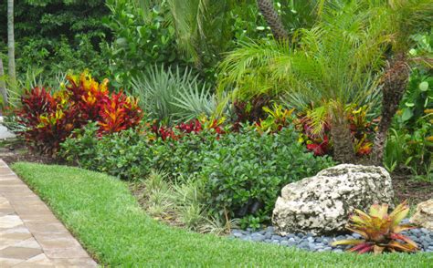 South Florida Landscaping Ideas Tropical Tropical Landscape Miami